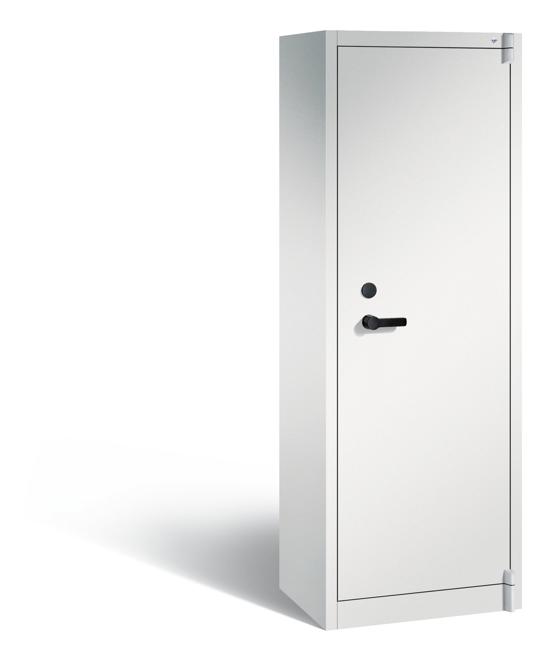 C+P Feuerschutzschrank Certos, H1950xB650xT500mm, 7035/7035