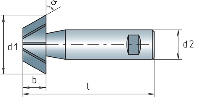 Winkelfräser DIN 1833D TypN D.25mm 45Grad HSS-Co Z.10 MAYKESTAG